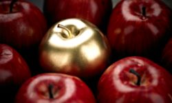 high quality apple parts