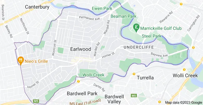 computer repairs Earlwood 