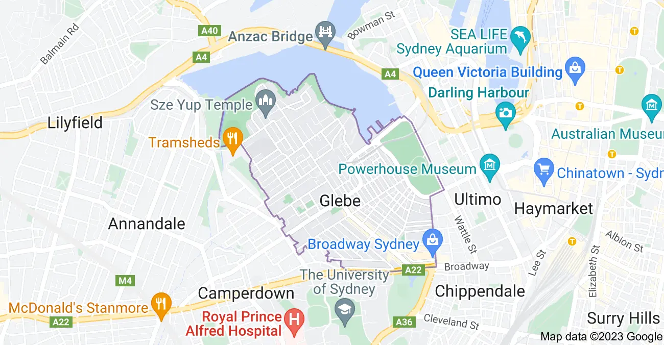 computer repairs Glebe